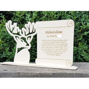 Dárek na promoce s věnováním na míru 2