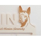 Dřevěný držák na medaile s laserováním 45 cm plemeno Americký bezsrstý teriér