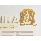 Dřevěný držák na medaile s laserováním 45cm pes Bernský salašnický pes